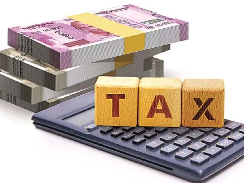 Tax: बजट 2025 में क्‍या मिलेगी राहत? भारत में कितने प्रकार के टैक्‍स भरते हैं लोग?
