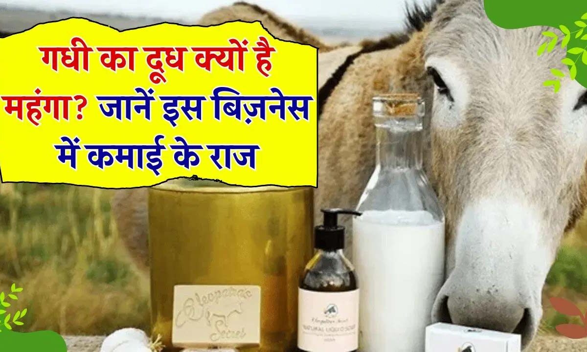 Business Idea: इसका दूध बिक रहा 7 हजार रुपए प्रति लीटर, ऐसे शुरू करें बिजनेस