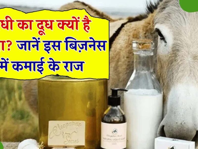 Business Idea: इसका दूध बिक रहा 7 हजार रुपए प्रति लीटर, ऐसे शुरू करें बिजनेस