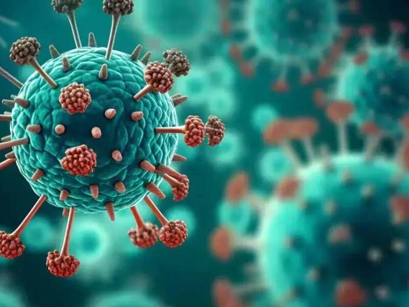 HMPV Virus: एचएमपीवी वायरस के भारत में 6 केस की पुष्टि, राज्‍य सरकार भी अलर्ट पर