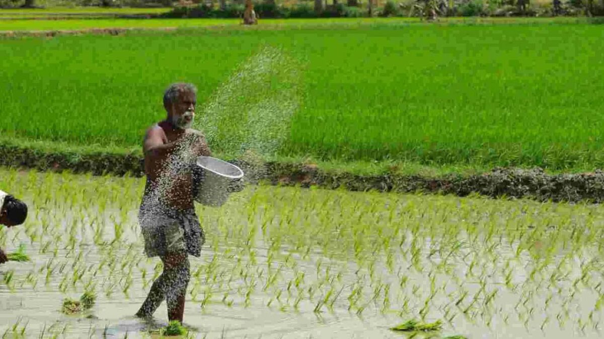 PDPS Scheme: क्या है पीडीपीएस योजना? जानिए किसानों को इससे कैसे मिल रहा लाभ