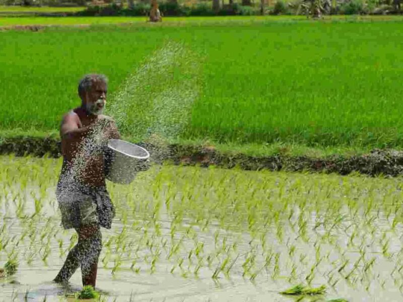 PDPS Scheme: क्या है पीडीपीएस योजना? जानिए किसानों को इससे कैसे मिल रहा लाभ