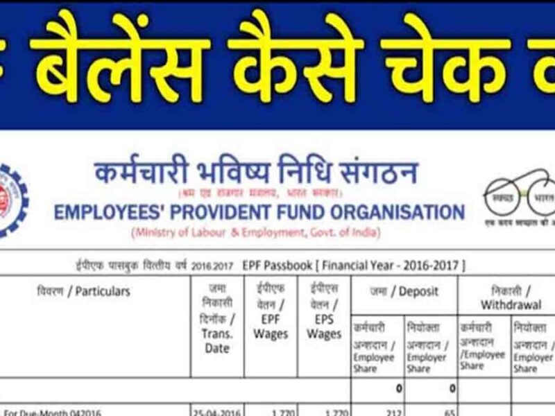 PF Balance Check: पीएफ बैलेंस चेक कैसे करें? इन स्‍टेप्‍स से मिलेगी आपको सही जानकारी