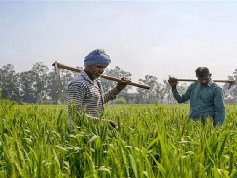 PM Kisan Aadhaar update: ऐसे किसानों की सम्मान निधि रुक जाएगी जिनका अपडेट नहीं हुआ आधार