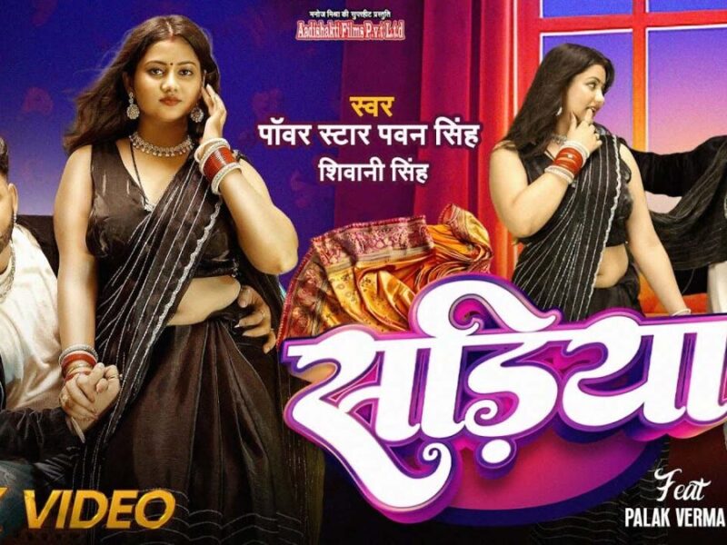 Bhojpuri Song Sadiya: भोजपुरी गाने सड़‍िया में पवन सिंह और शिवानी के बीच हुआ रोमांस