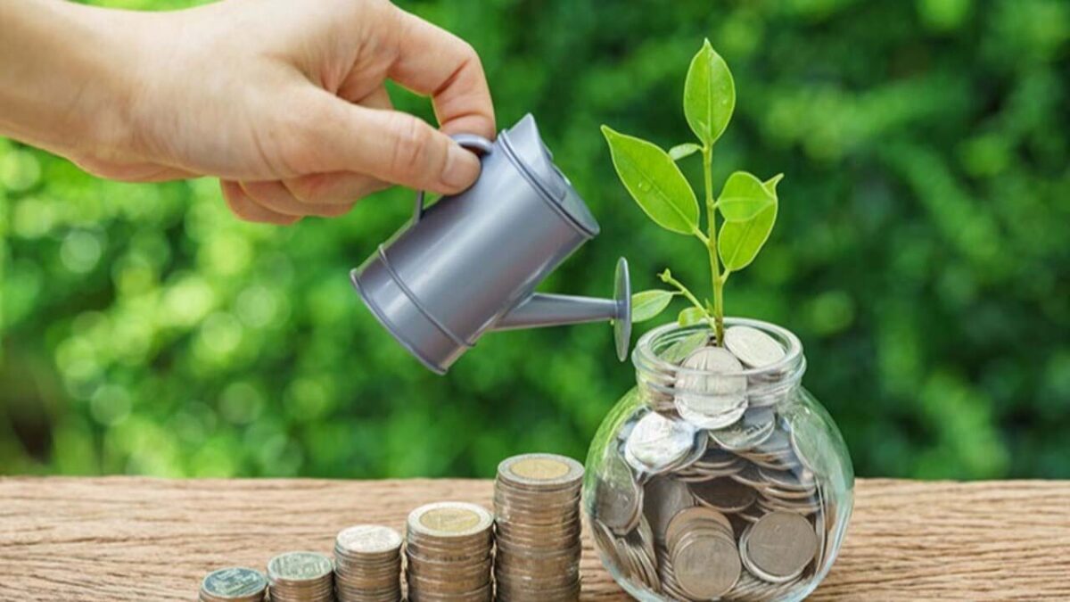 Tax Saving Investments: इन बचत निवेश योजनाओं में मिलेगा लाभ, टैक्‍स सेव‍िंंग्‍स में होगा फायदा