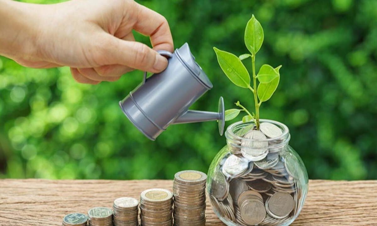 Tax Saving Investments: इन बचत निवेश योजनाओं में मिलेगा लाभ, टैक्‍स सेव‍िंंग्‍स में होगा फायदा