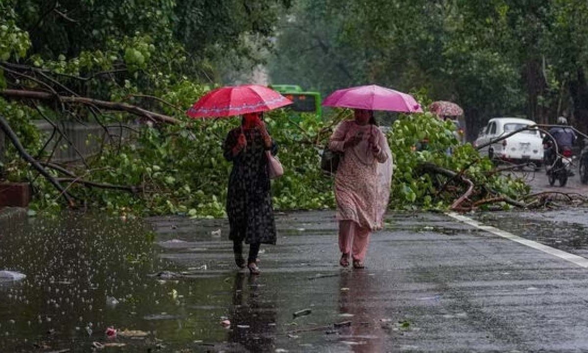 Weather News: आईएमडी ने दी उत्‍तर भारत में बारिश की चेतावनी, जानें मौसम का हाल