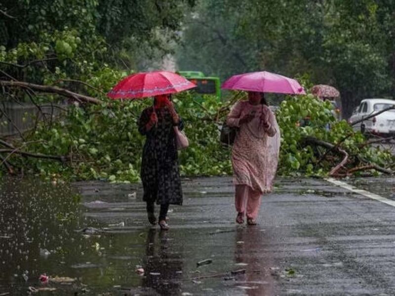 Weather News: आईएमडी ने दी उत्‍तर भारत में बारिश की चेतावनी, जानें मौसम का हाल