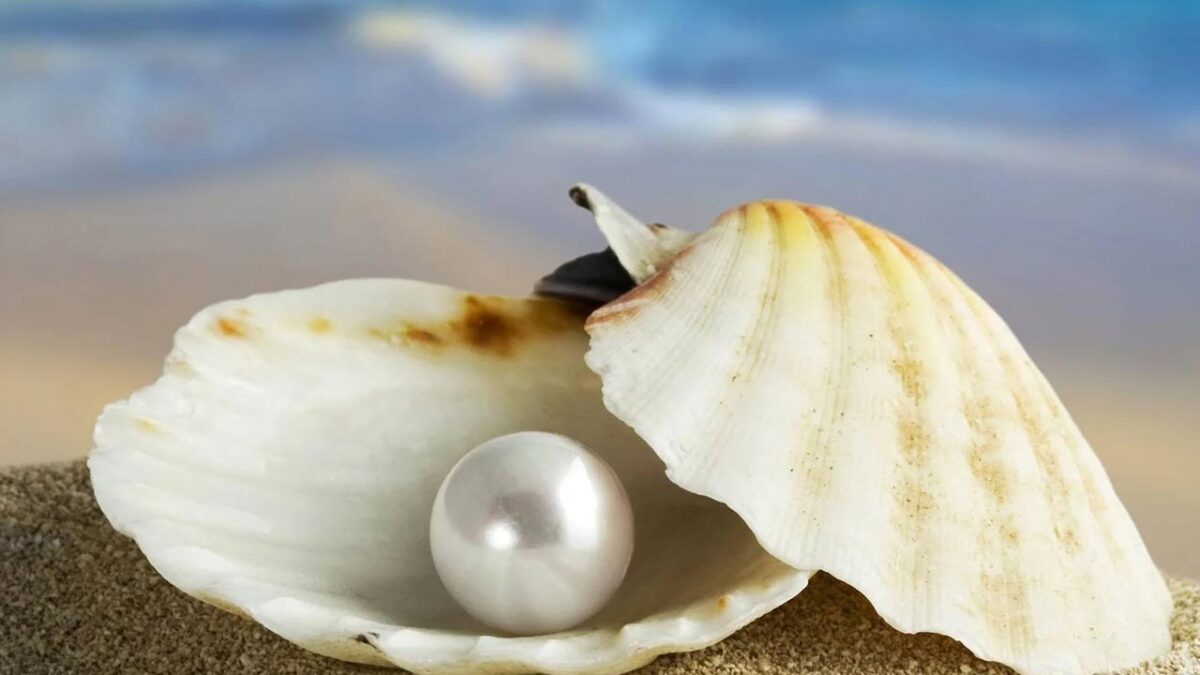 Benefits of wearing pearl: कमाल के हैं इस रत्न के फायदे, अधिक गुस्सा आता है तो इसे एक बार जरूर आजमाएं