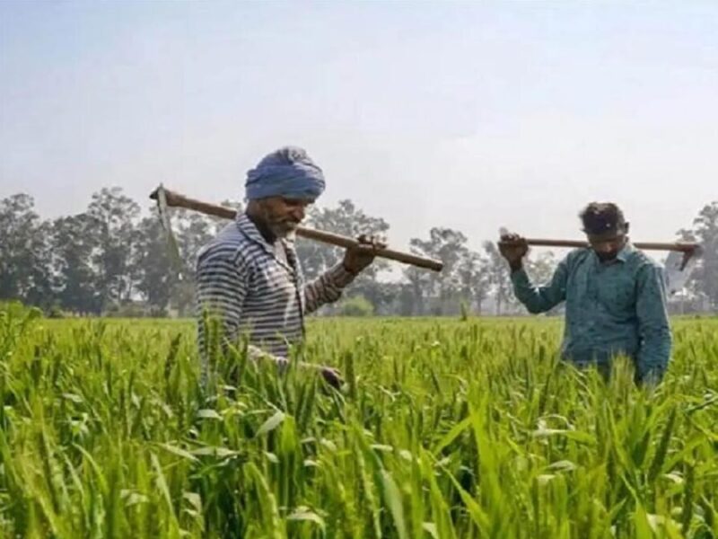 Government subsidy: ट्यूबवेल योजना के तहत ये सरकार दे रही 80% तक सब्सिडी