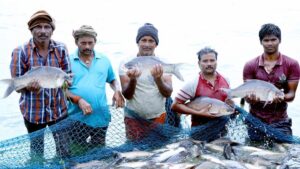 Fish Farming: सरकार दे रही 60% सब्सिडी, मछली पालन से हो सकती है अच्छी कमाई