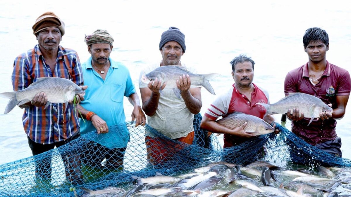 Fish Farming: सरकार दे रही 60% सब्सिडी, मछली पालन से हो सकती है अच्छी कमाई