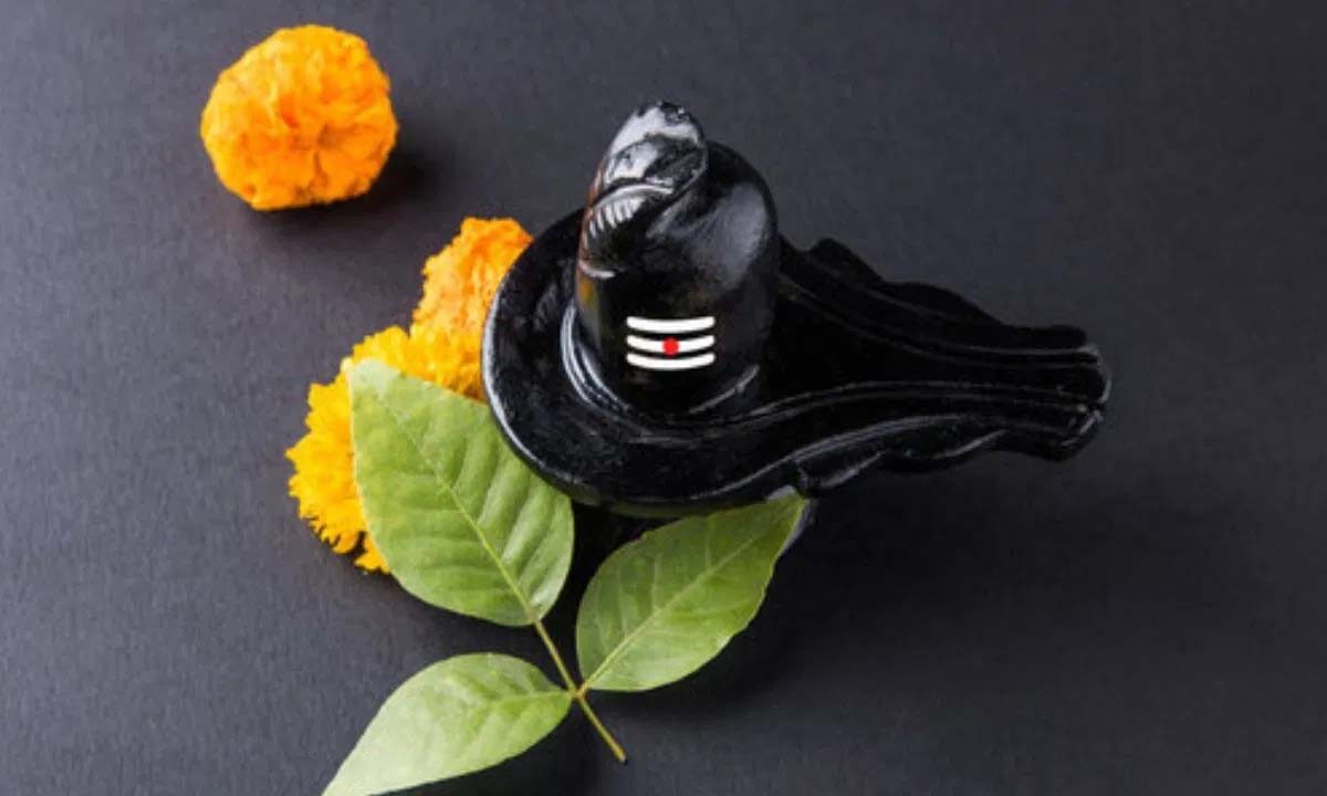 Mahashivratri 2025: महाशिवरात्रि पर घर ले आएं बेल पत्र, जानिए कहां रखें तो मिलेगा लाभ?