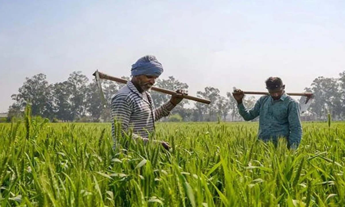 PM Kisan: किसान भाई ध्‍यान दें, जानें कब जारी होगी पीएम किसान की 19वीं किस्त?