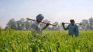 PM Kisan: किसान भाई ध्‍यान दें, जानें कब जारी होगी पीएम किसान की 19वीं किस्त?