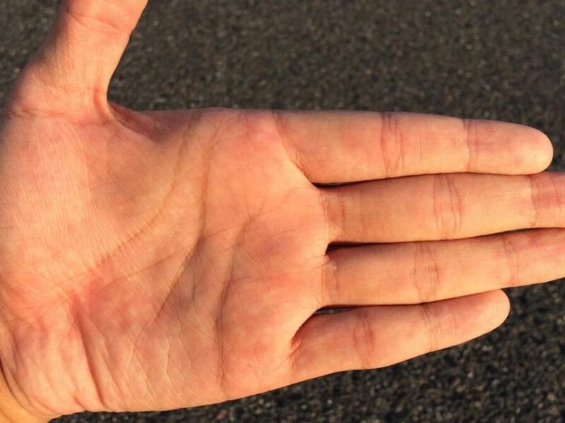 Palmistry: बेहद शुभ माने जाते हैं हथेली पर बने ये निशान, जानिए किस तरह के निशान शुभ माने जाते हैं?
