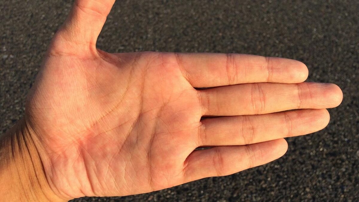 Palmistry: बेहद शुभ माने जाते हैं हथेली पर बने ये निशान, जानिए किस तरह के निशान शुभ माने जाते हैं?