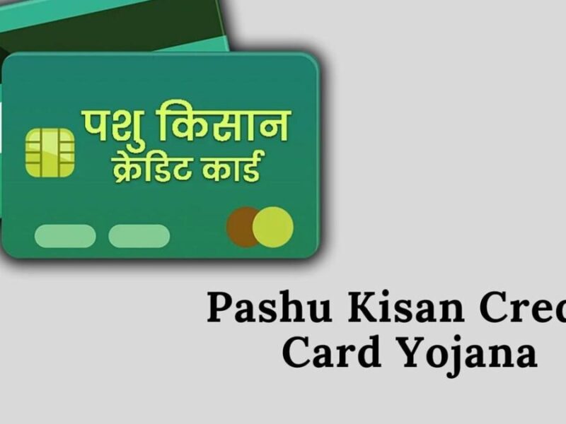 Pashu Kisan Credit Card Yojana: इस योजना के तहत मिल रहा पशुपालन के लिए 3 लाख का लोन, ऐसे करें आवेदन