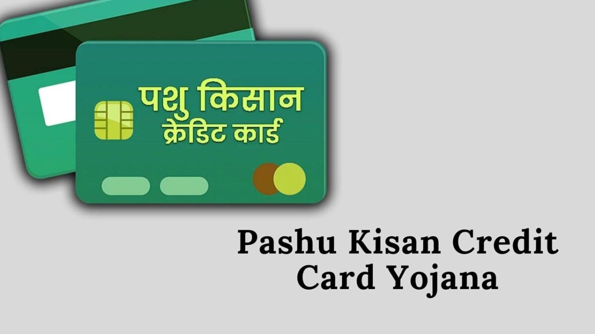 Pashu Kisan Credit Card Yojana: इस योजना के तहत मिल रहा पशुपालन के लिए 3 लाख का लोन, ऐसे करें आवेदन