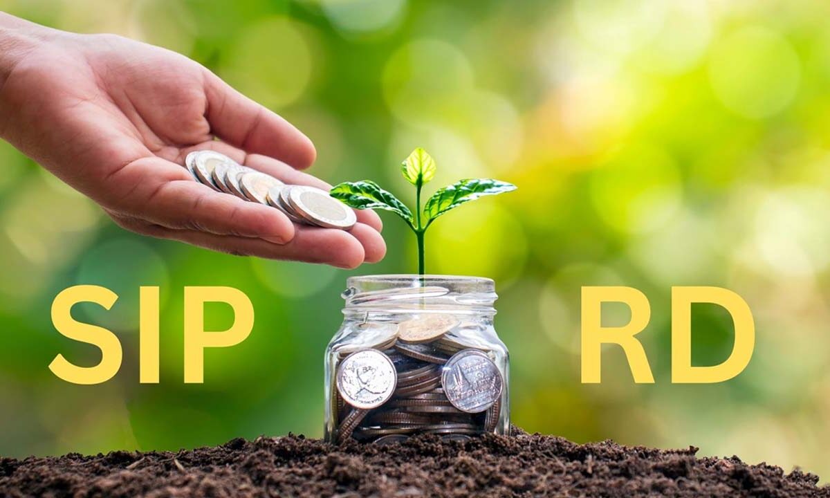 SIP vs RD: सिप या आरडी निवेश के लिए 2025 में कौन है सबसे बेहतर?