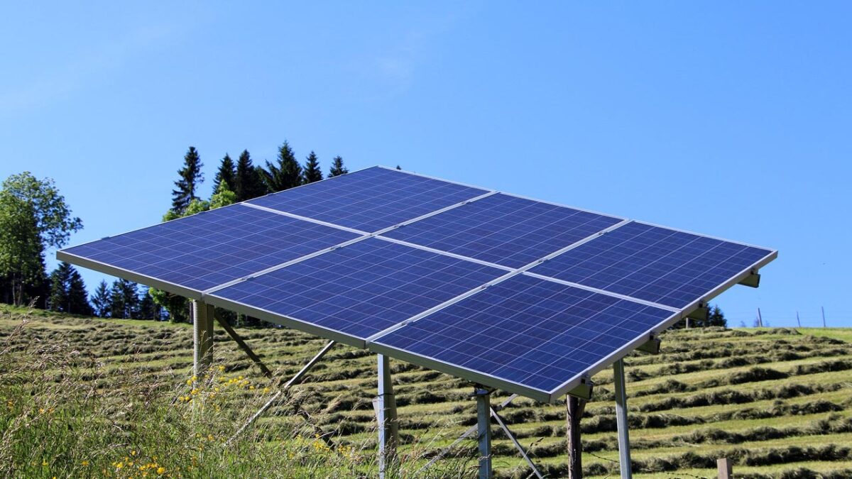 Solar Panel: सोलर पैनल का बिजनेस शुरू करके आप कमा सकते हैं अच्छी आमदनी