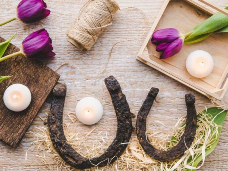 Vastu Home Remedies: घर के बिगड़े हुए वास्तु को इन उपायों से करें ठीक, जानें क्या करना चाहिए?