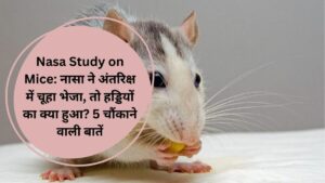 Nasa Study on Mice: नासा ने अंतरिक्ष में चूहा भेजा, तो हड्डियों का क्या हुआ? 5 चौंकाने वाली बातें