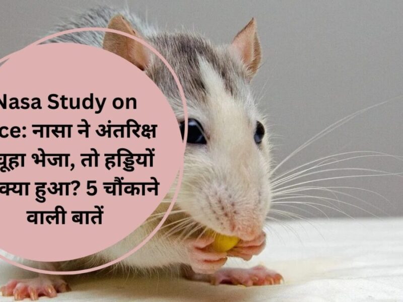 Nasa Study on Mice: नासा ने अंतरिक्ष में चूहा भेजा, तो हड्डियों का क्या हुआ? 5 चौंकाने वाली बातें