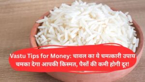 Vastu Tips for Money: चावल का ये चमत्कारी उपाय चमका देगा आपकी किस्मत, पैसों की कमी होगी दूर!